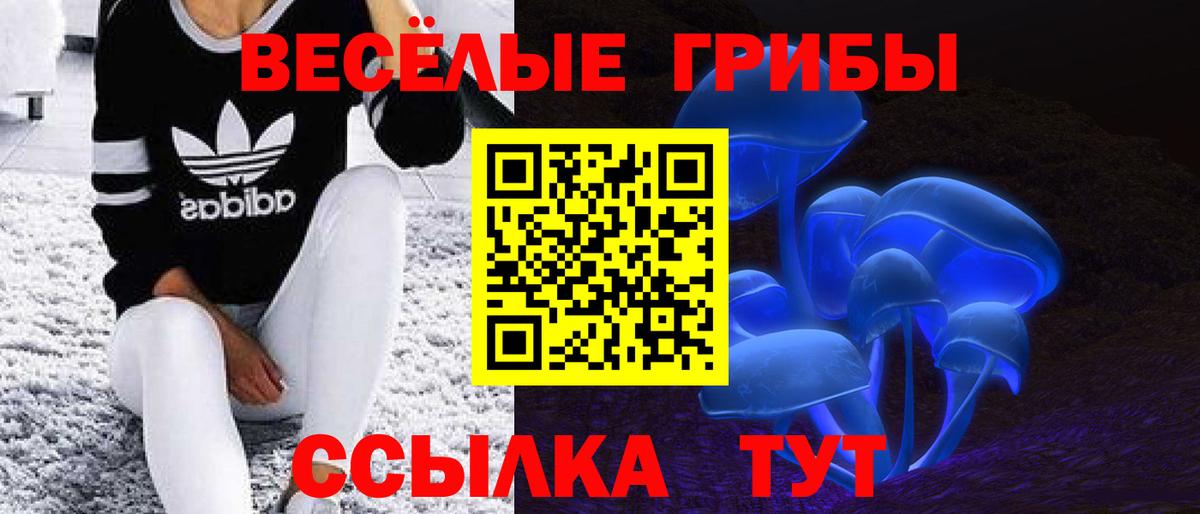 Псилоцибиновые грибы мицелий Иваново
